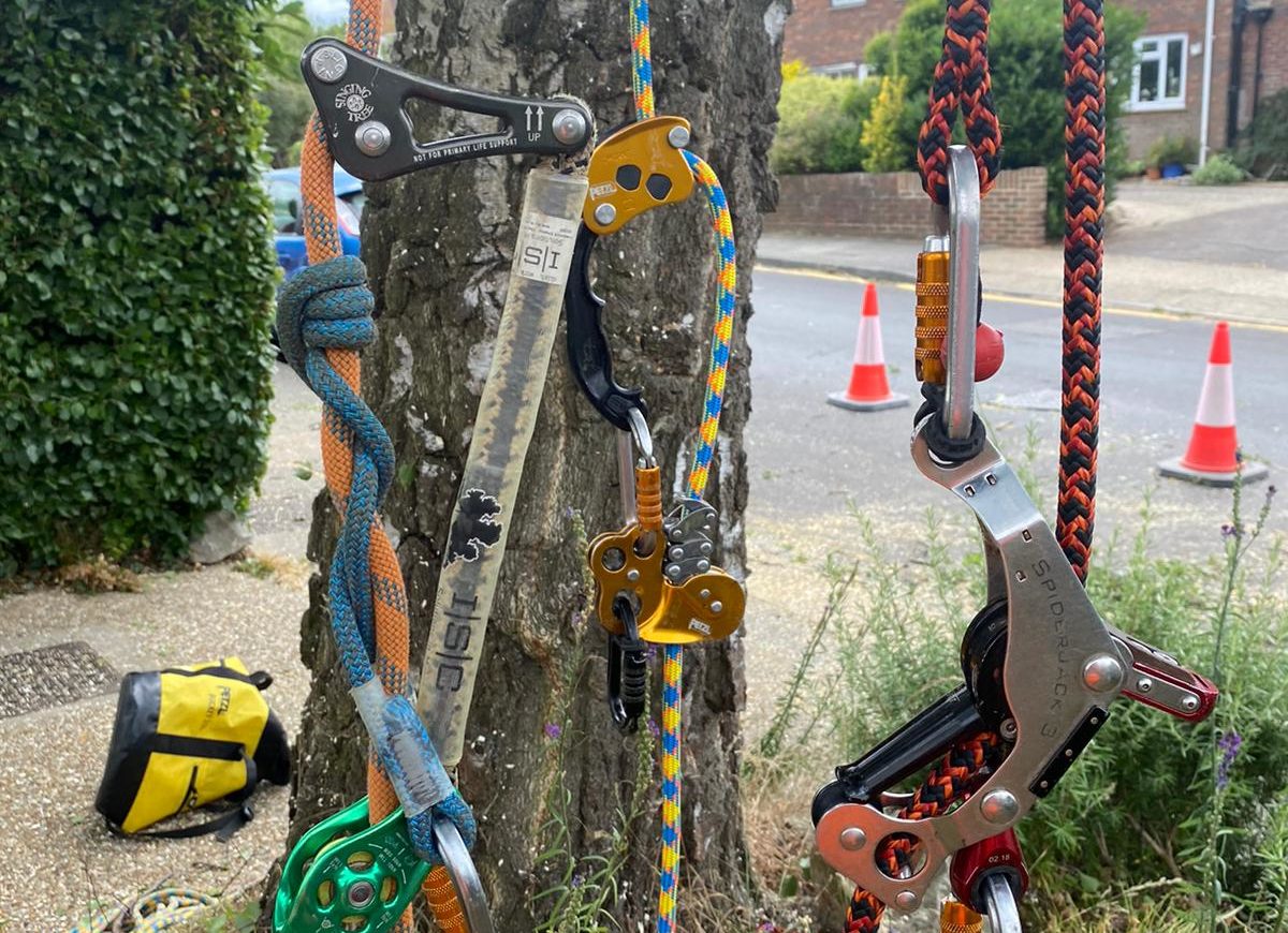 LOLER certification tree surgeon Kent kit