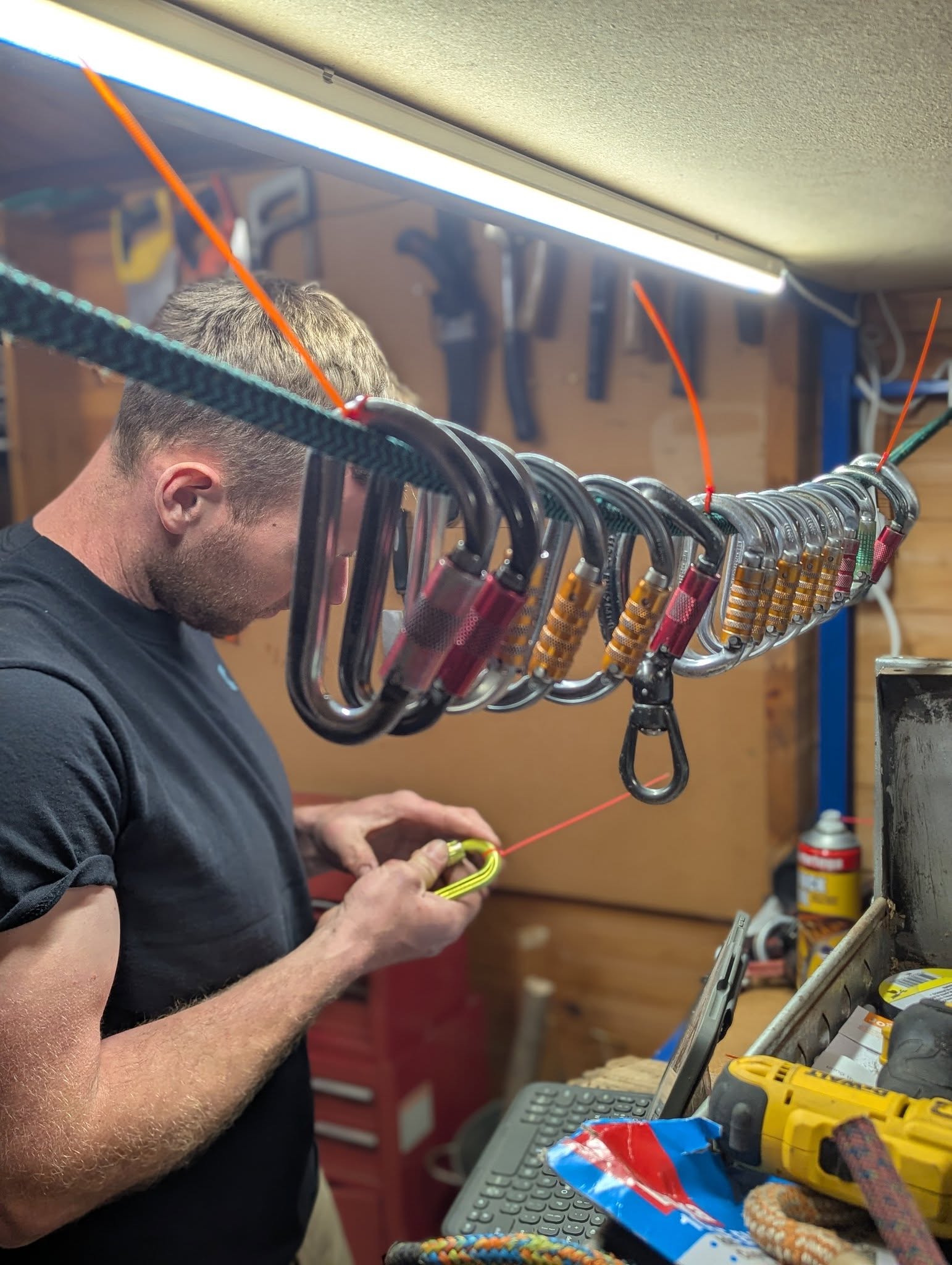 LOLER certification tree surgeon Kent Wayne Guy LOLER certification tree surgeon Kent Wayne Guy